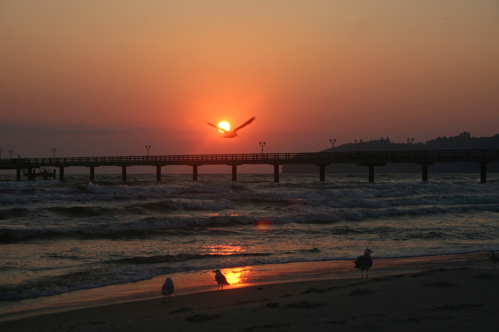 ein Morgen in Binz