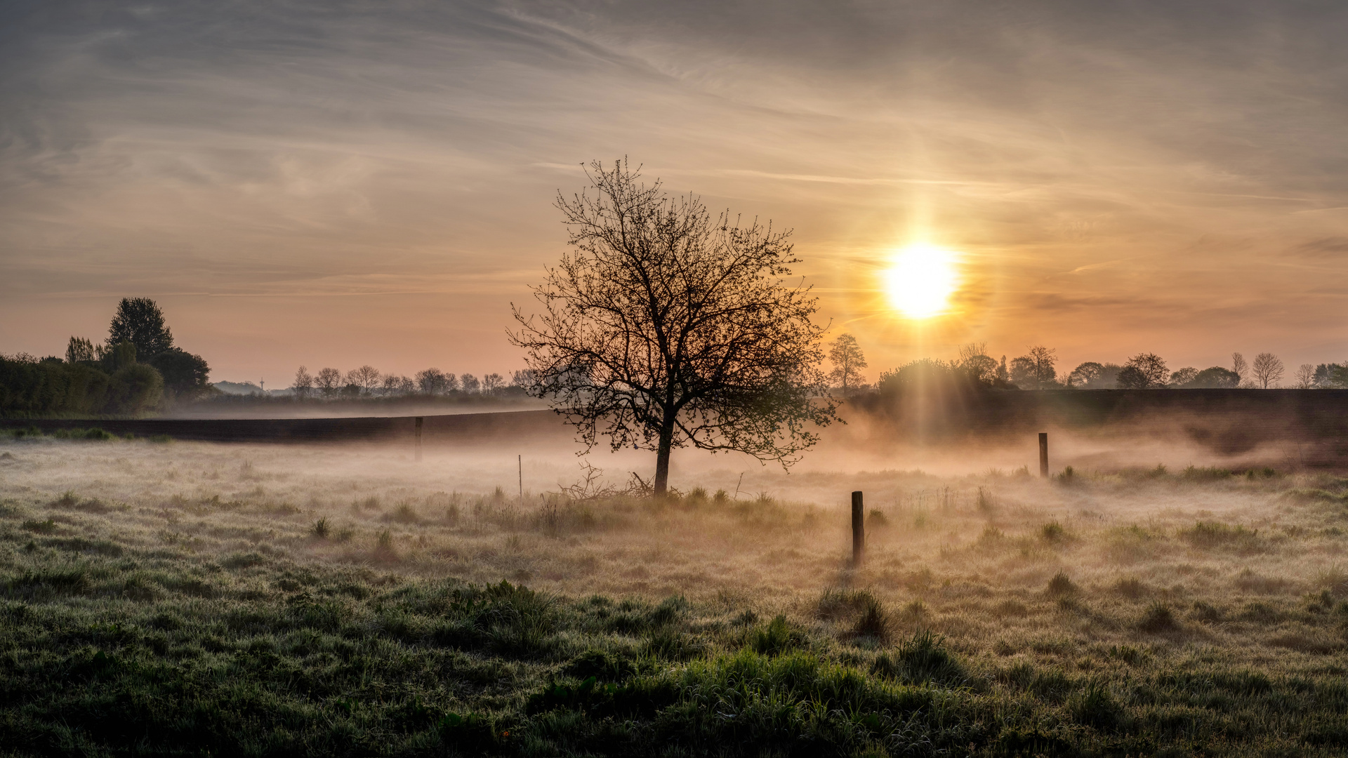 Ein Morgen in Brodersby