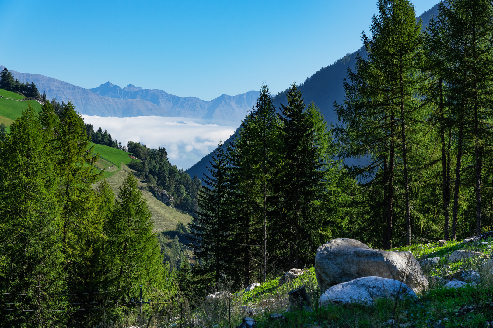 ein Morgen in den Alpen