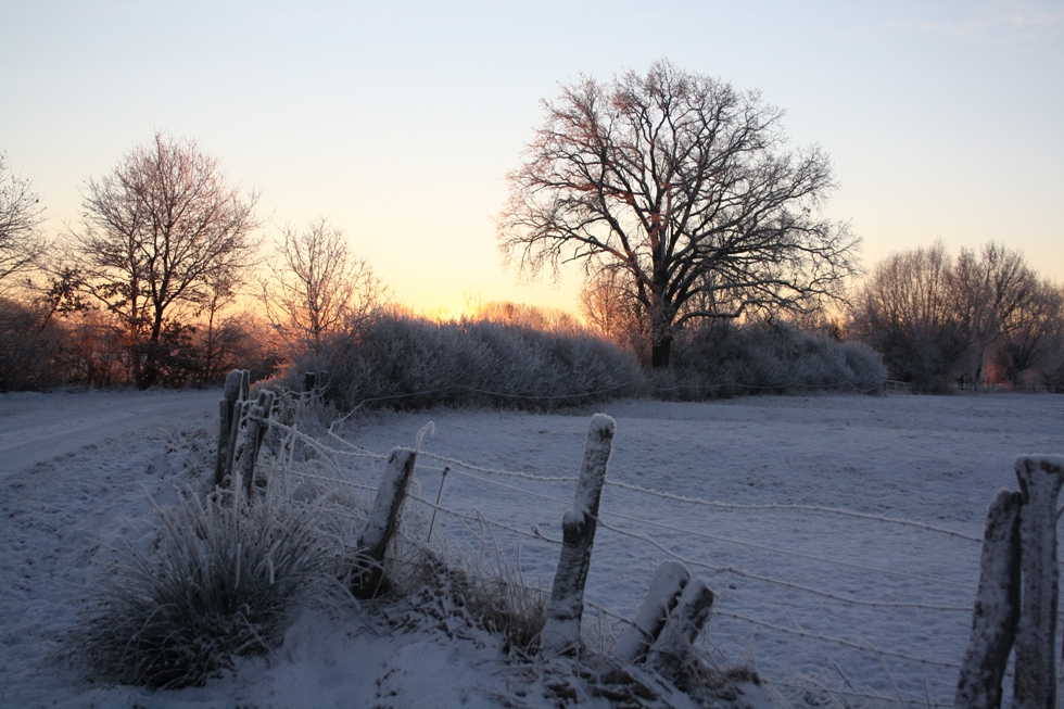 Ein Morgen in der Feldmark