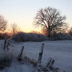 Ein Morgen in der Feldmark