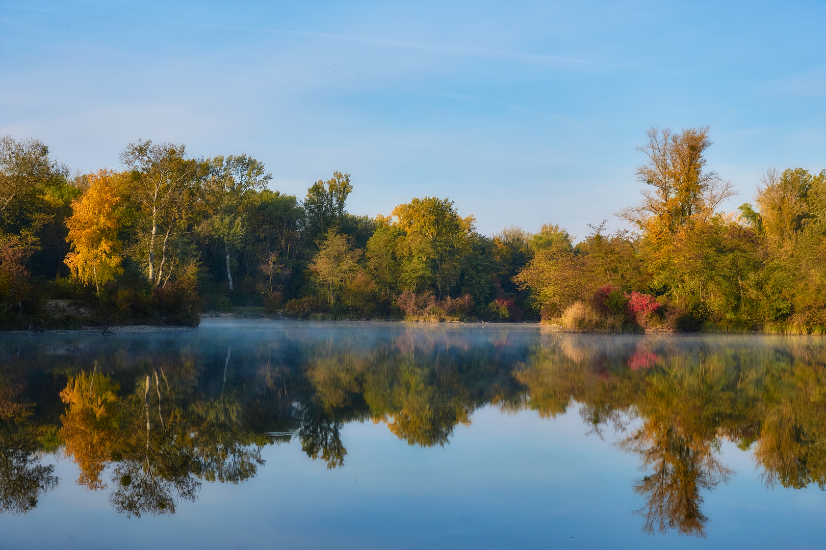 Ein Morgen in der Lobau