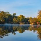 Ein Morgen in der Lobau