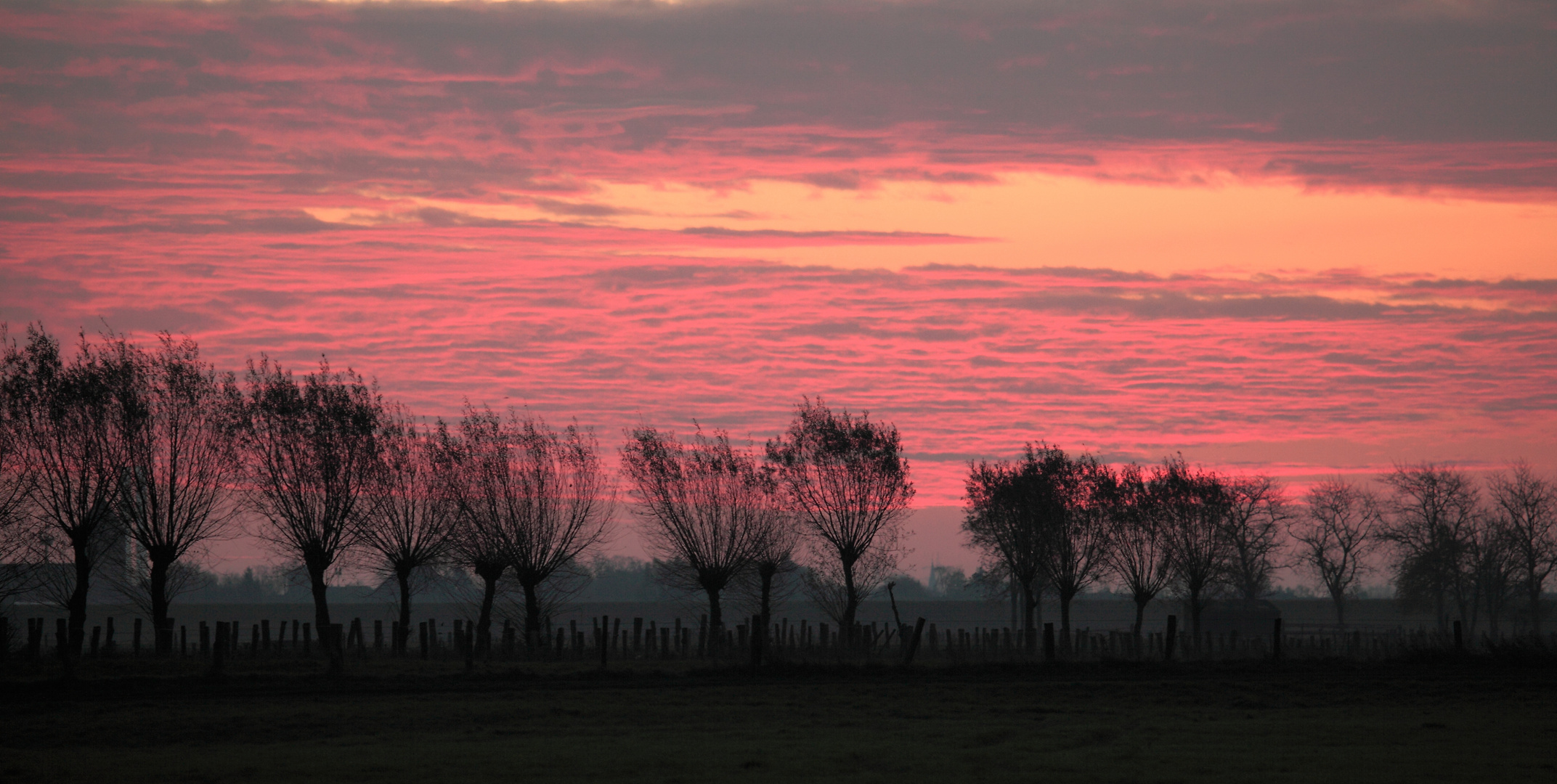 Ein Morgen in der Natur