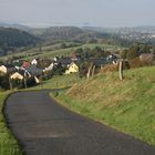 Ein Morgen in der Sächsischen Schweiz