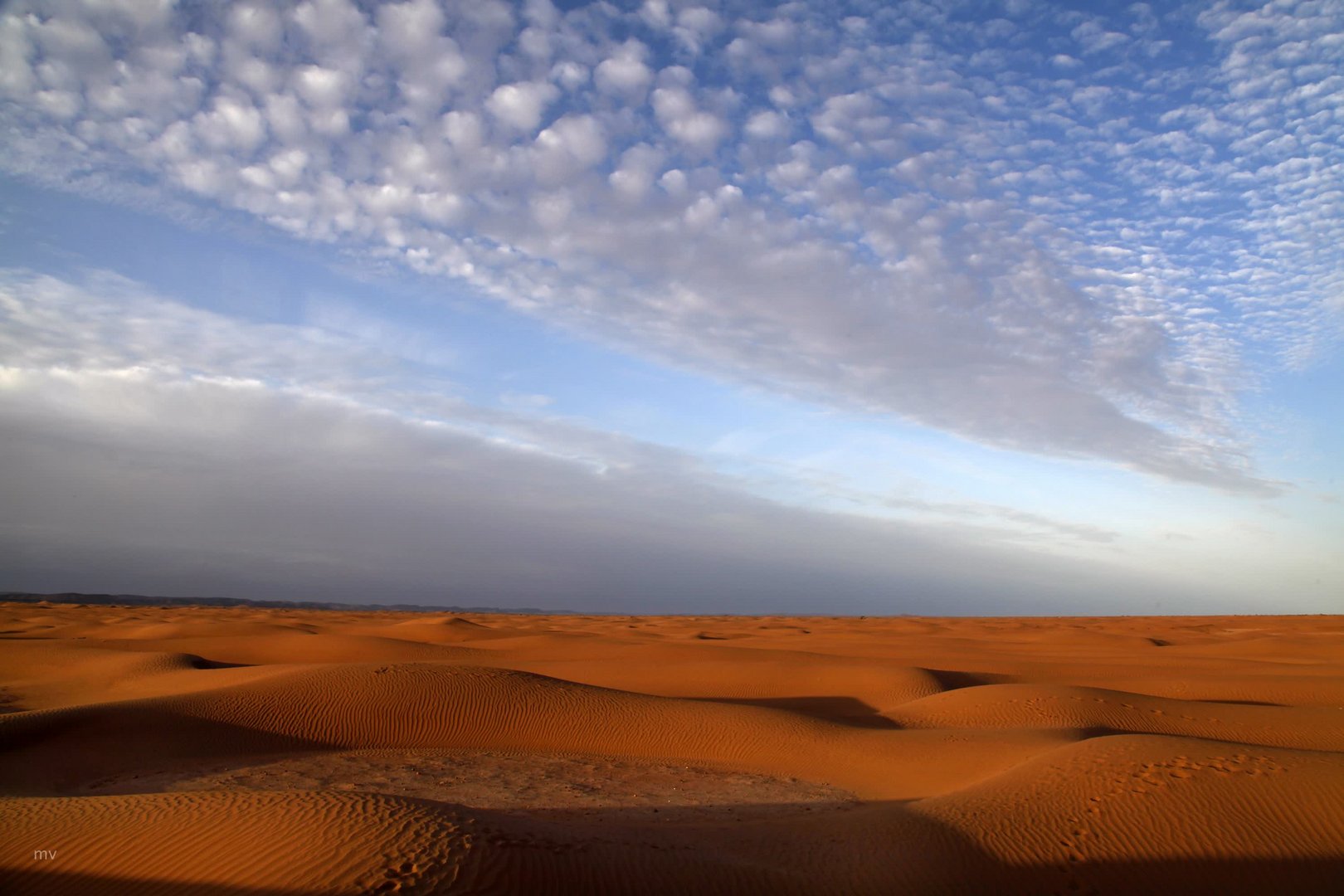 ein Morgen in der Wüste
