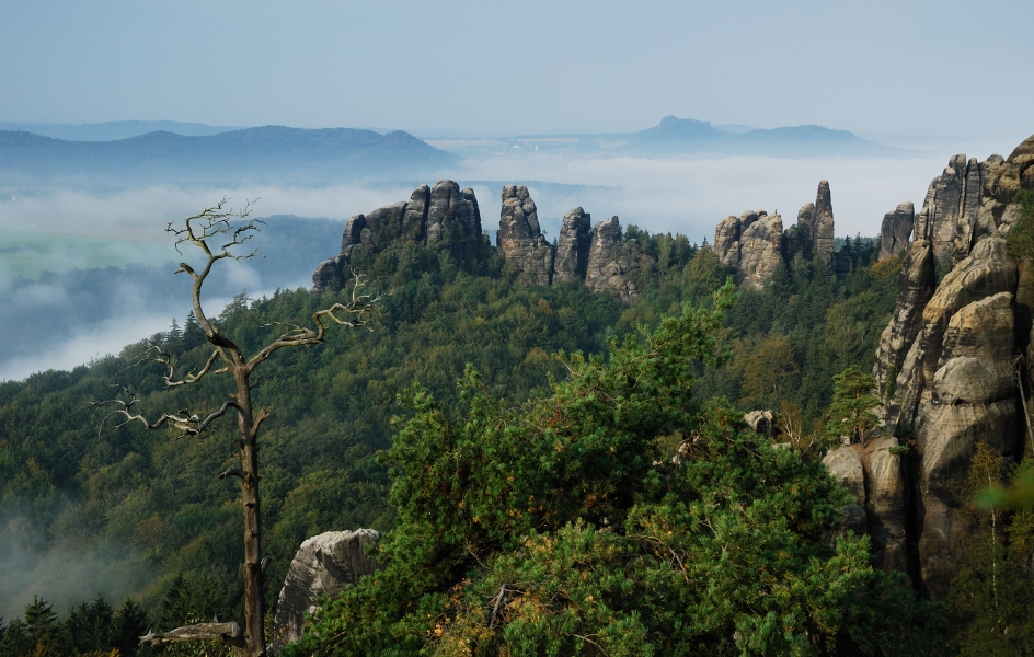 Ein Morgen in Felsen 1