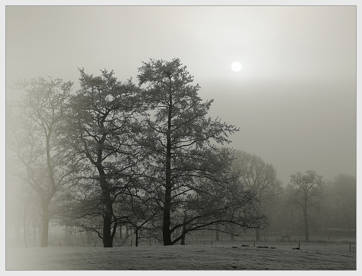 Ein Morgen in Friesland