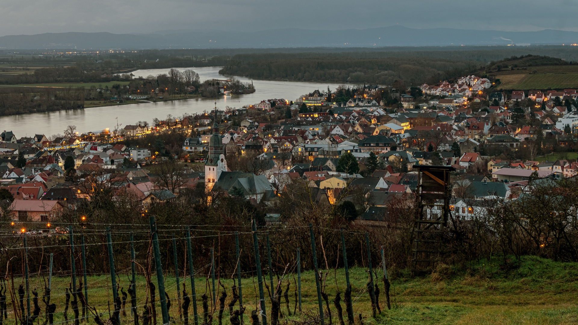 Ein Morgen in Nierstein am Rhein 