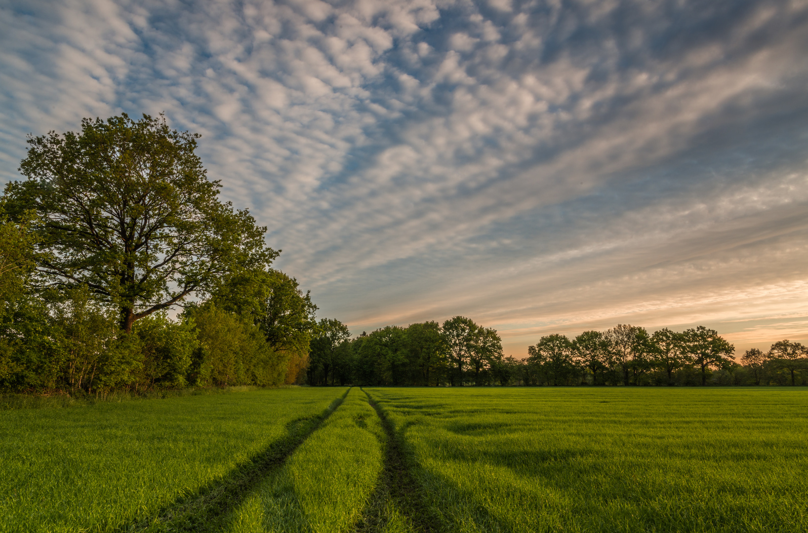 Ein Morgen in Schleswig-Holstein