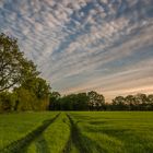 Ein Morgen in Schleswig-Holstein