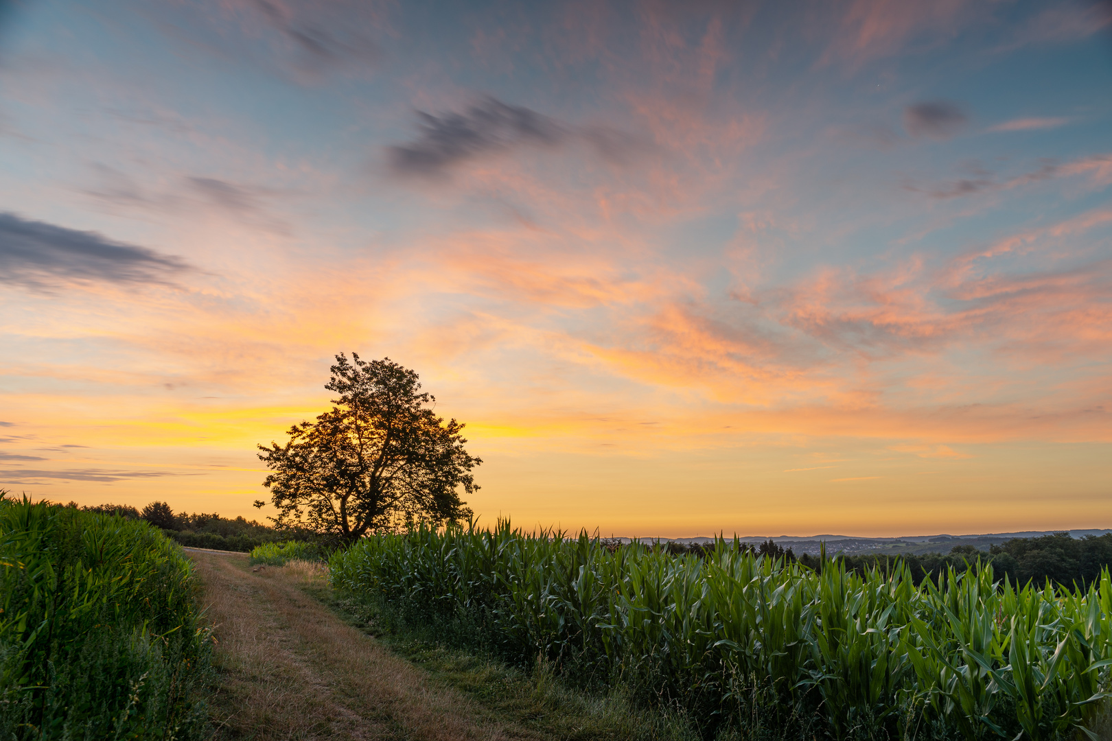 Ein Morgen in Thalhausen