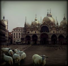 ein morgen in venedig [2]