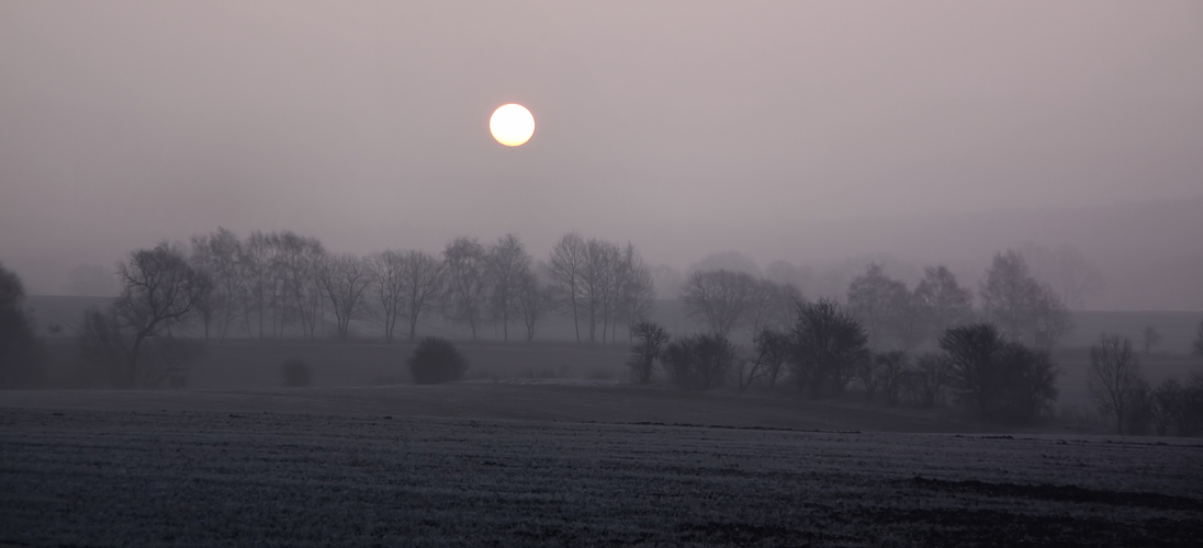 Ein Morgen taut auf....