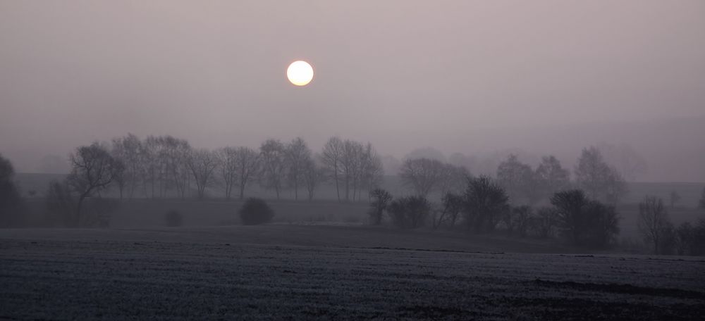 Ein Morgen taut auf....