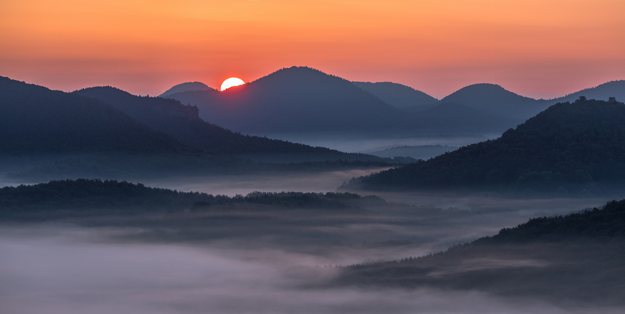 Ein Morgen tief im Pfälzerwald