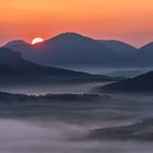 Ein Morgen tief im Pfälzerwald