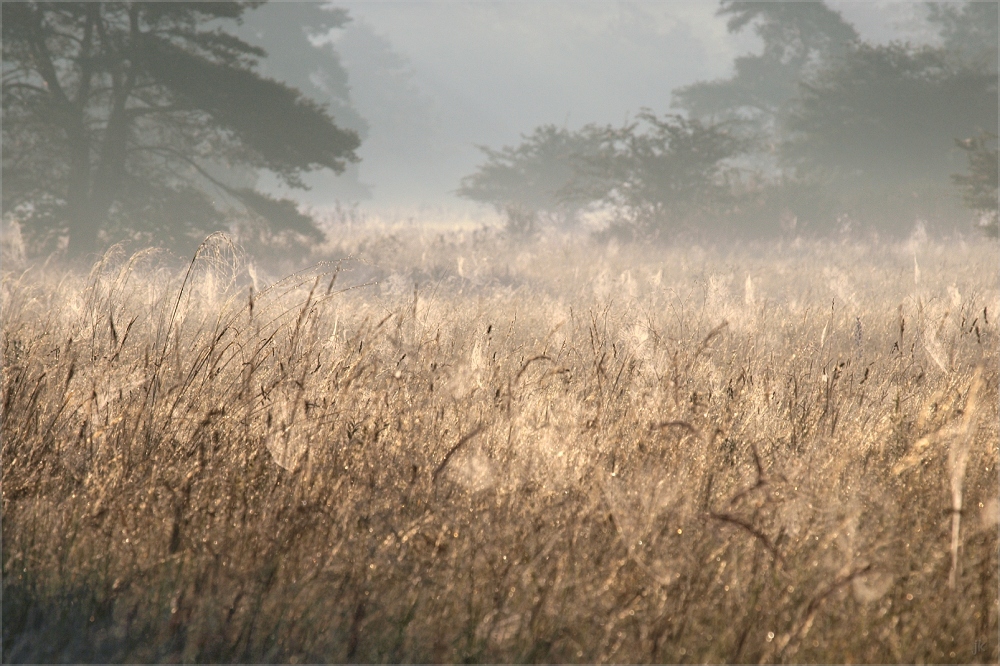 ein morgen wie im herbst