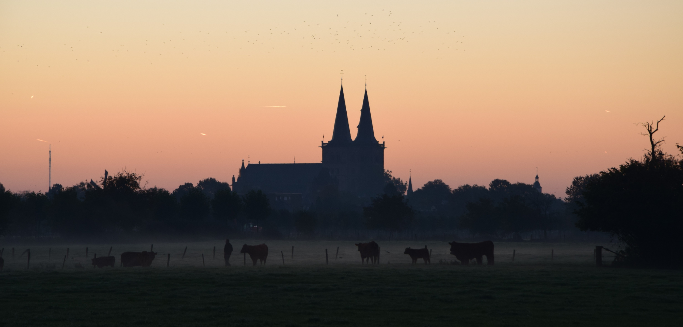 Ein morgendlicher Gruß aus Xanten (II)