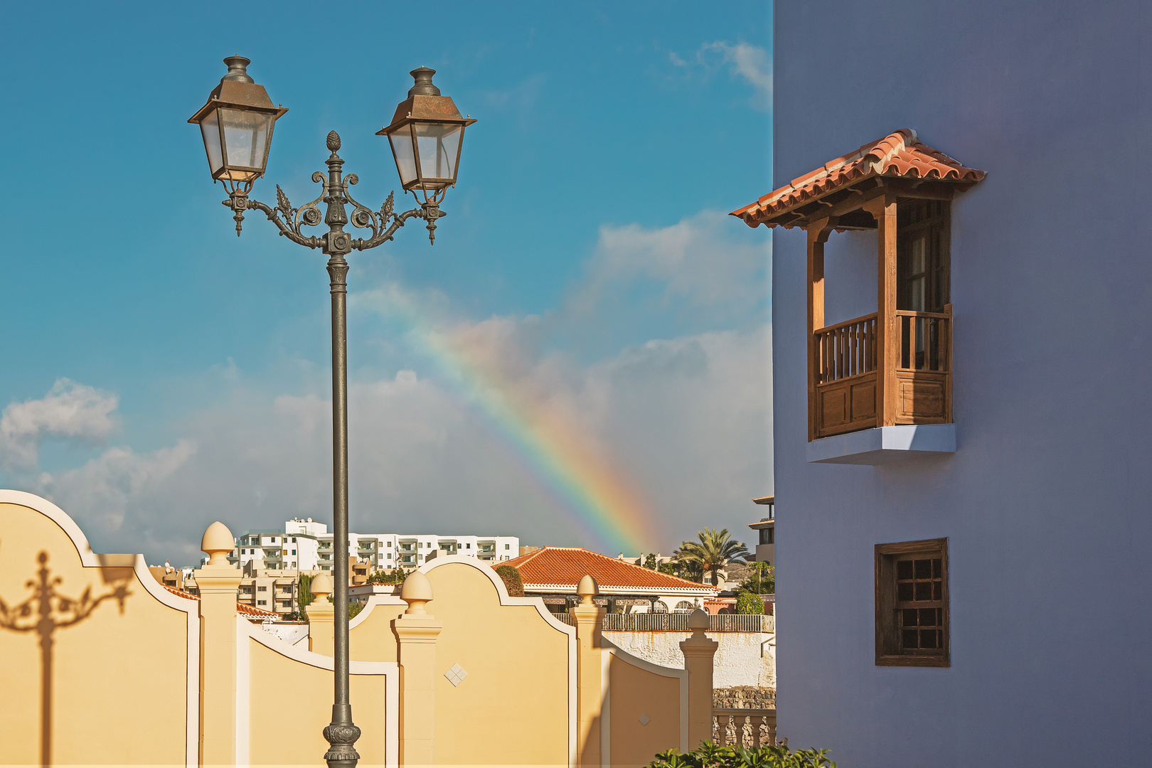 Ein morgendlicher Gruss nach einem Regenschauer, Adeje, Teneriffa