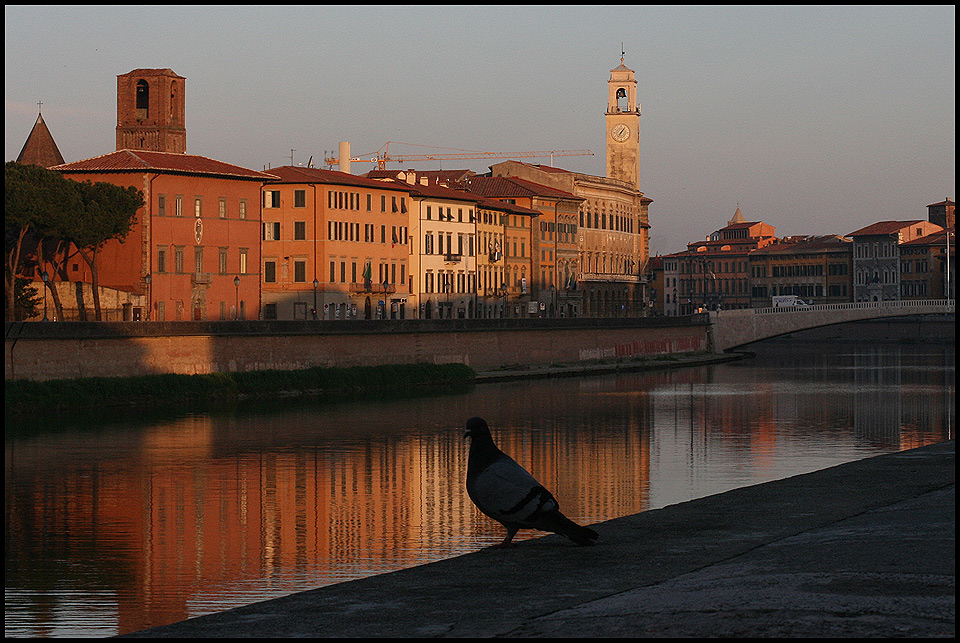 Ein Morgengruß an alle die Arno heißen