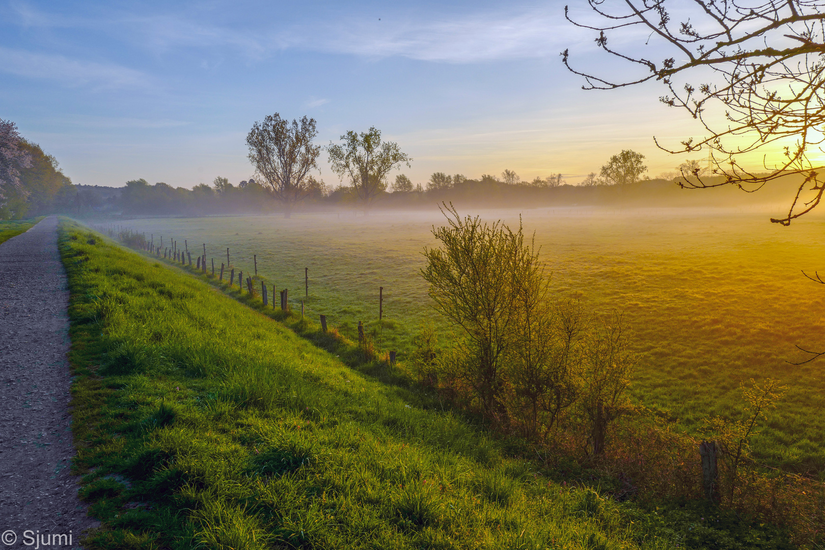 Ein Morgenspaziergang...