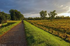 Ein Morgenspaziergang...