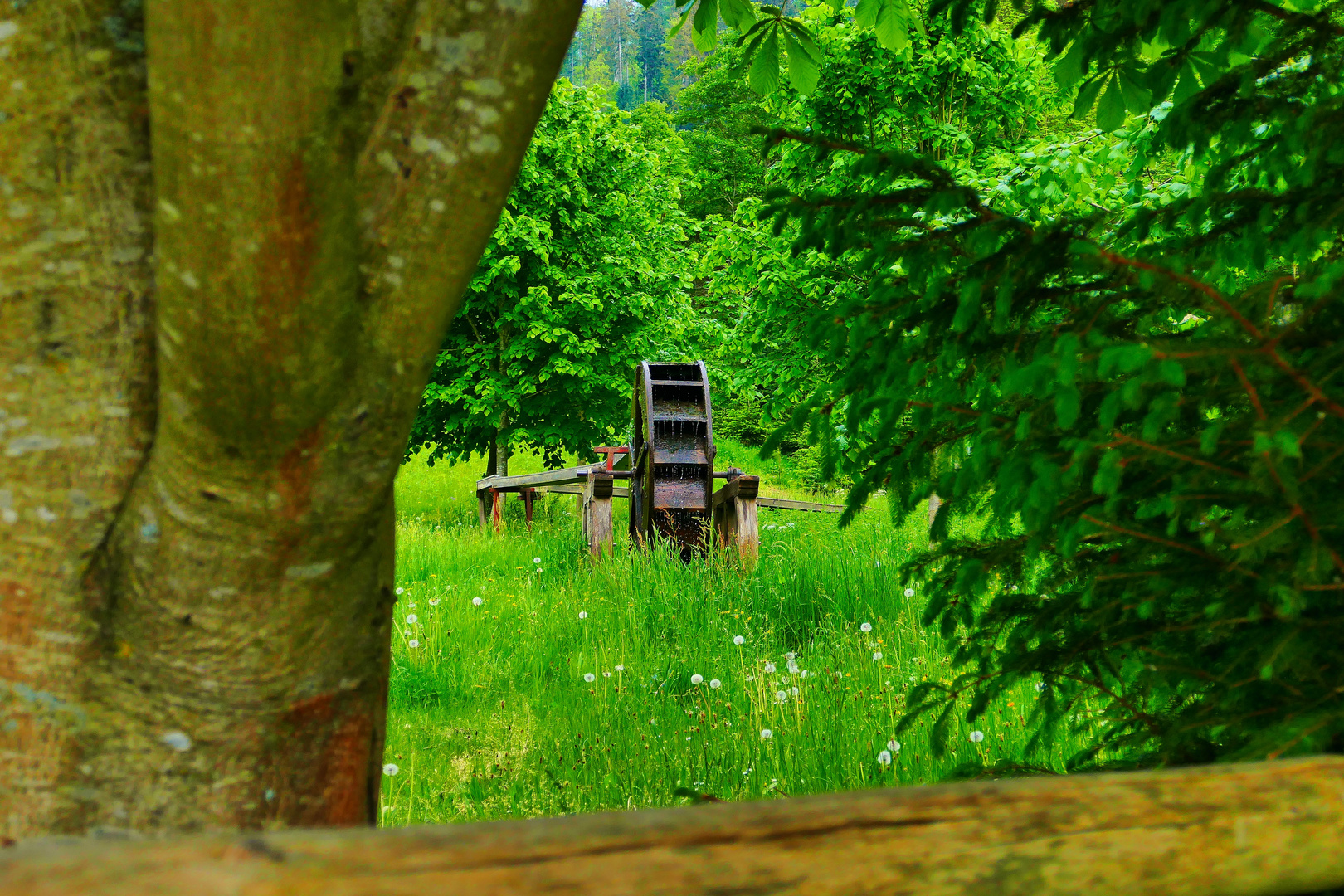 Ein Mühlrad im Schwarzwald 