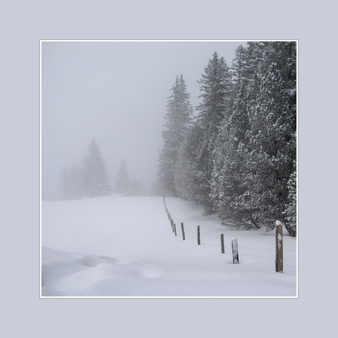 Ein mühsames weiterkommt bei diesem Nebel und Schnee