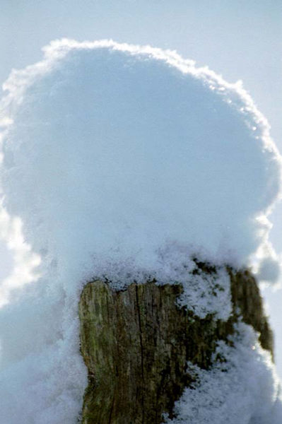 ein Mützchen voll Schnee