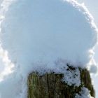 ein Mützchen voll Schnee