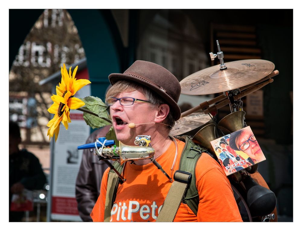 Ein musikalisches Mittwochsblümchen namens Pit Pete