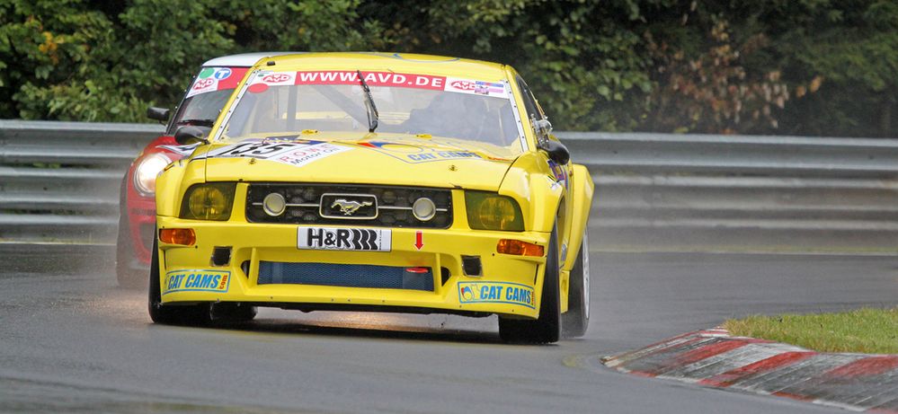 ein Mustang im Regen