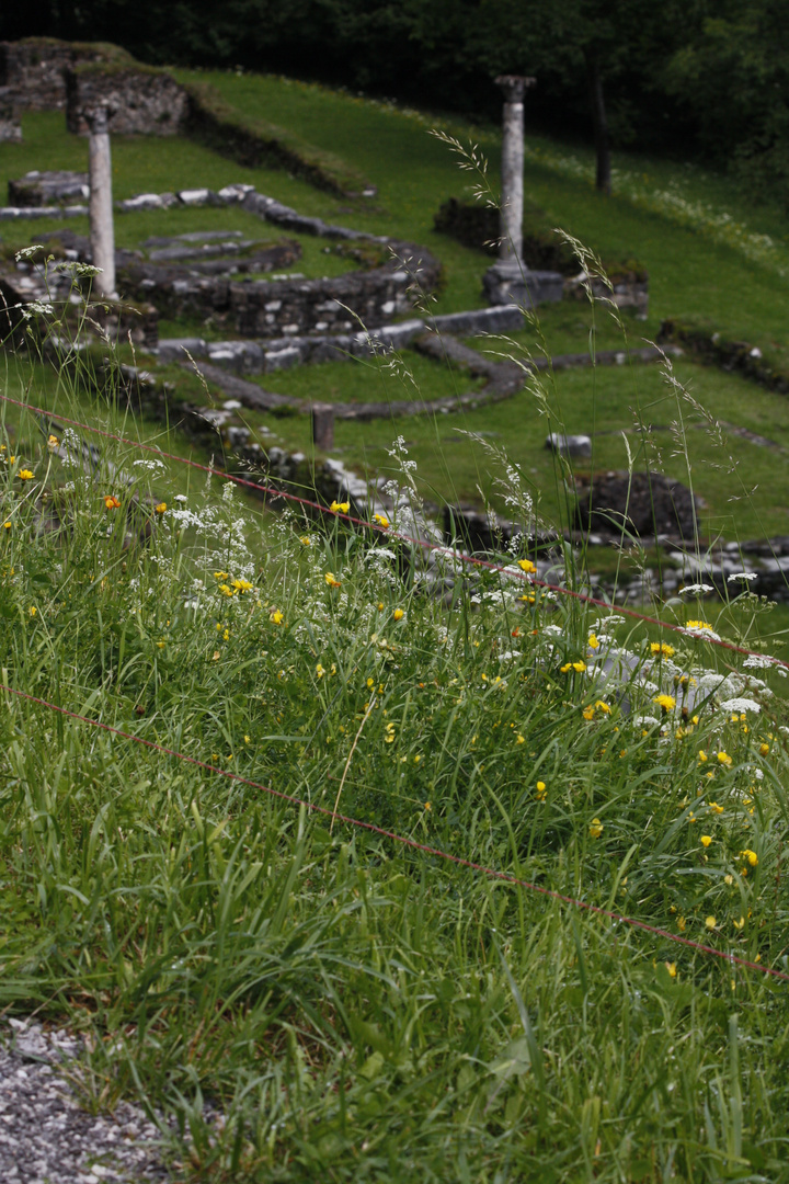 Ein mysticher Energieort in TIROL - LAVANT