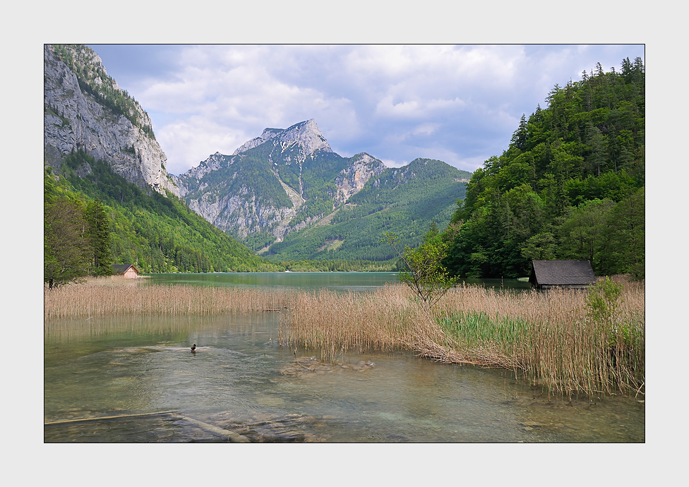 Ein Nachmittag am Leopoldsteinersee