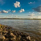 Ein Nachmittag am Rhein