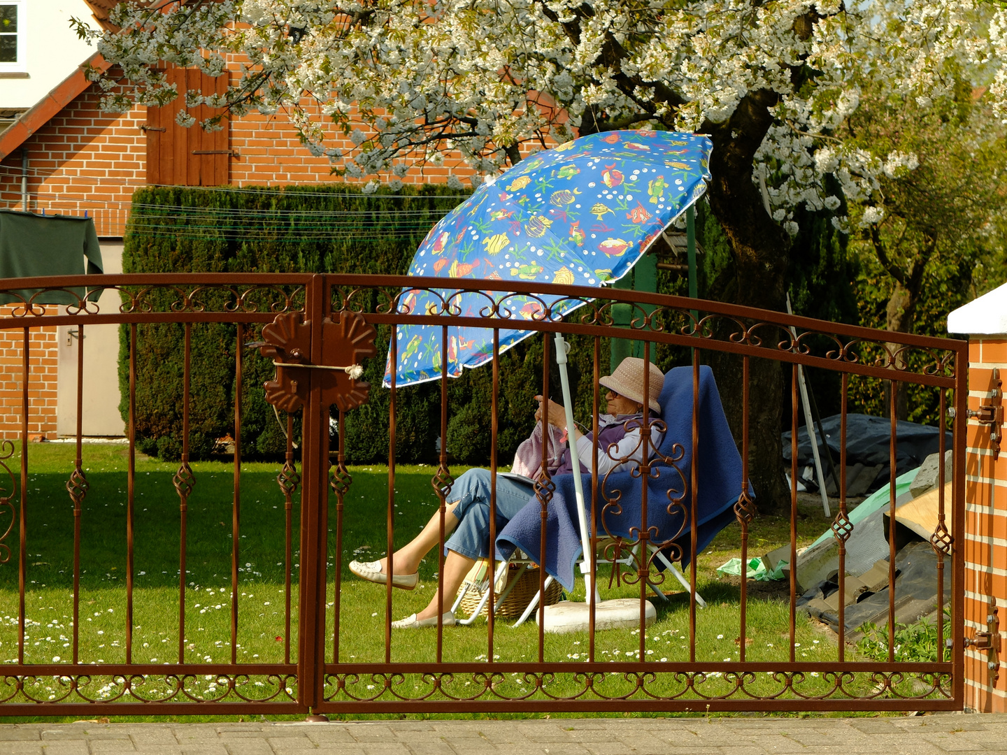 Ein Nachmittag im Garten