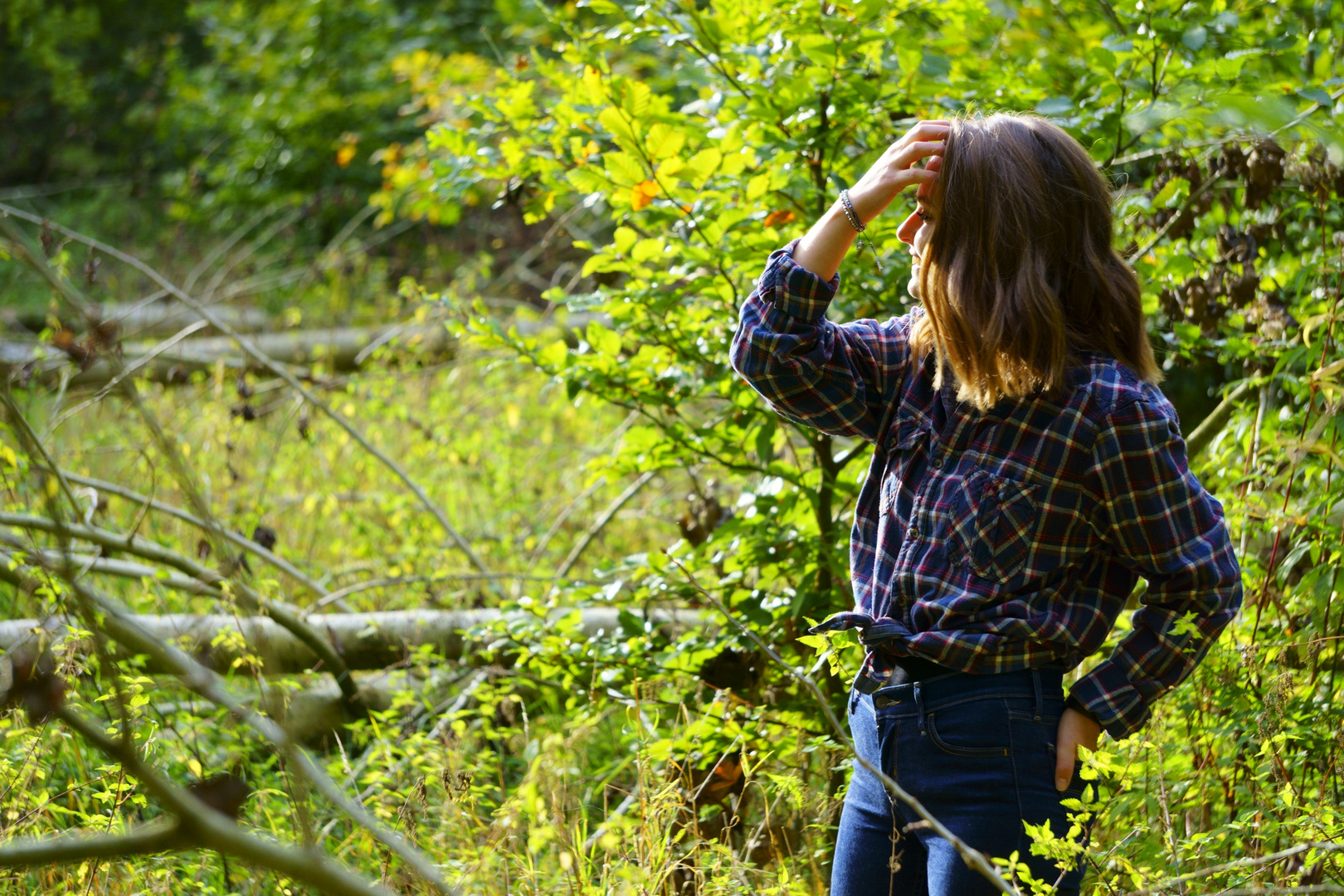 Ein Nachmittag im Wald