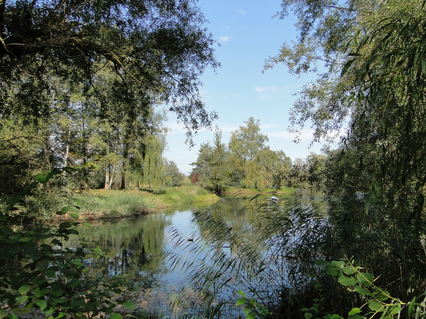 ein Nachmittags Spaziergang am See