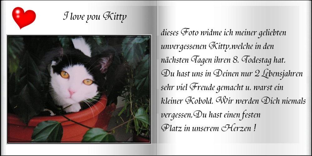 ein Nachruf für Kitty