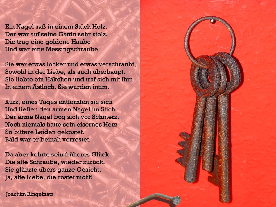 Ein Nagel Sass In Einem Stueck Holz