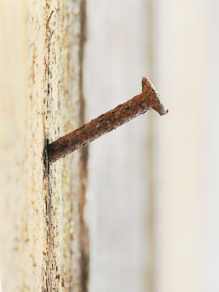 Ein Nagel saß in einem Stück Holz