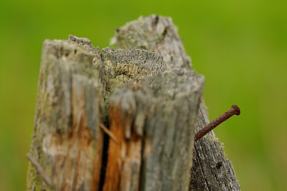 Ein Nagel saß in einem Stück Holz. Der war auf seine...