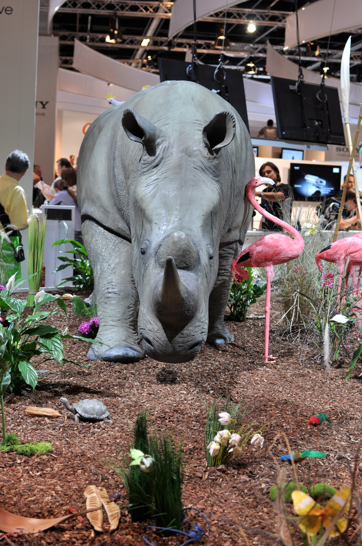 Ein Nashorn auf Abwegen