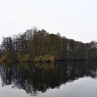 Ein nasskalter Novembertag am Stocksee im Kreis Segeberg