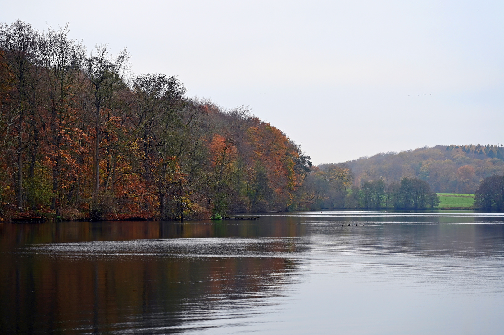 Ein nasskalter Novembertag am Stocksee im Kreis Segeberg