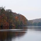 Ein nasskalter Novembertag am Stocksee im Kreis Segeberg