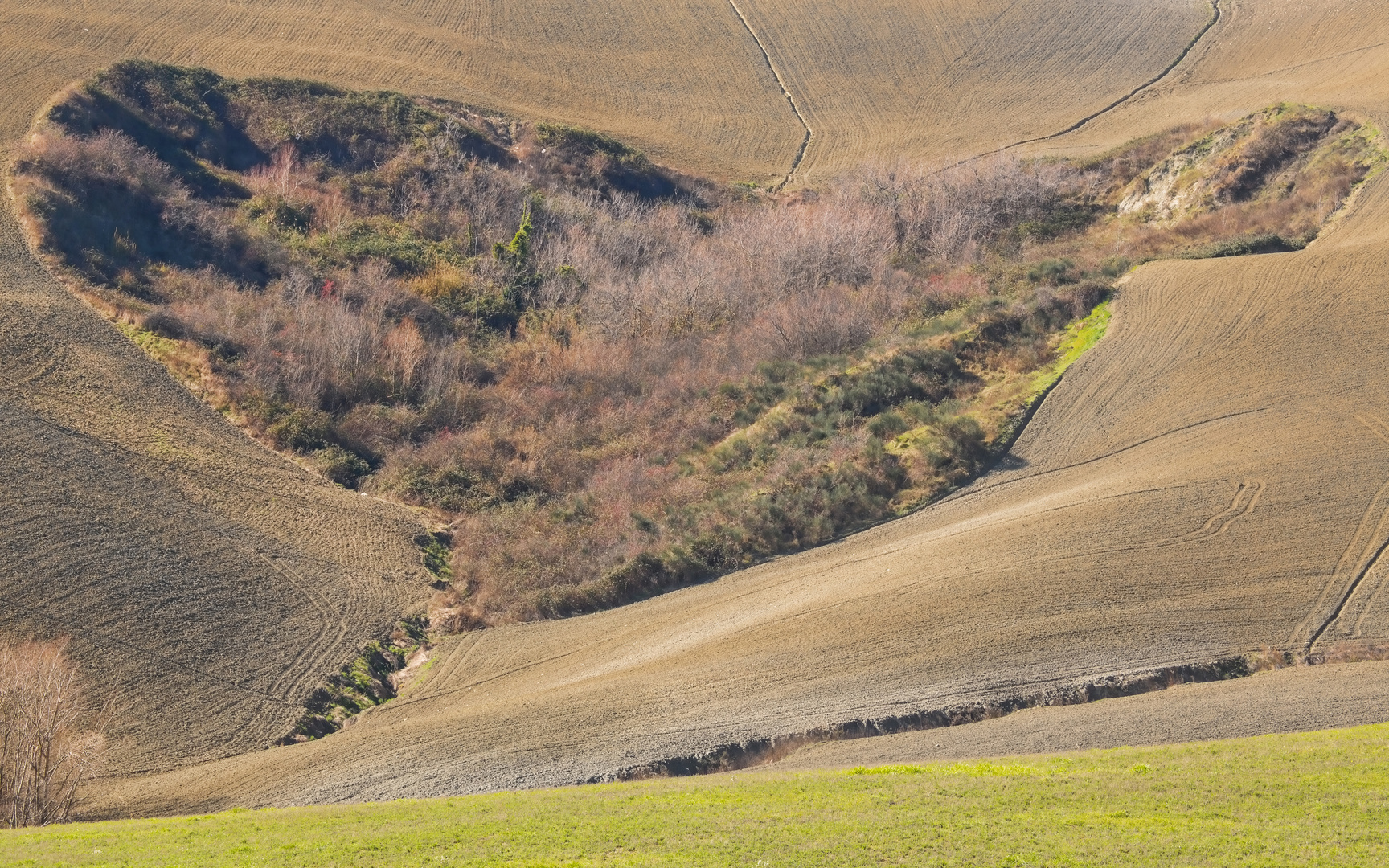 ein Natur-Herz