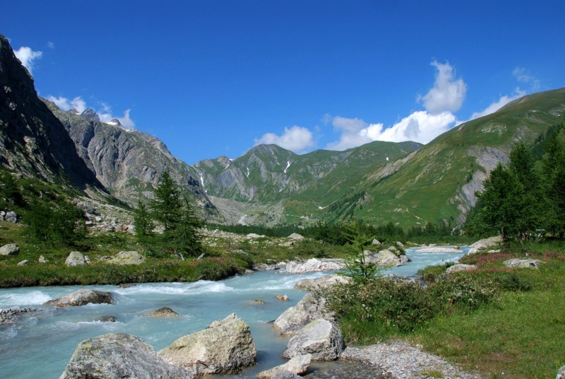 Ein Natur pur Sommer im Val Ferret