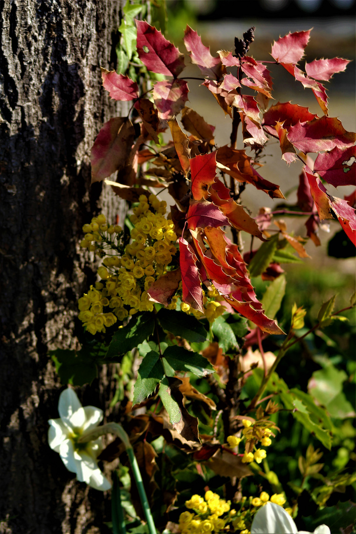 ein Natur Stilleben